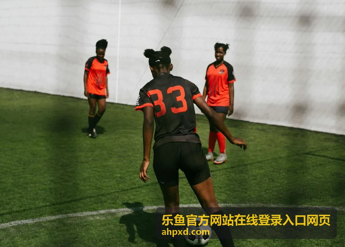 乐鱼官方账号安全登录指引
