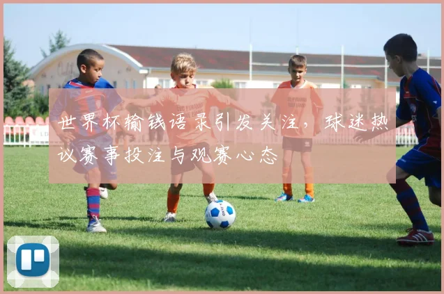 世界杯输钱语录引发关注，球迷热议赛事投注与观赛心态
