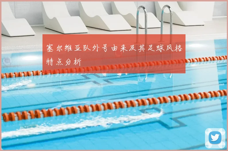 塞尔维亚队外号由来及其足球风格特点分析