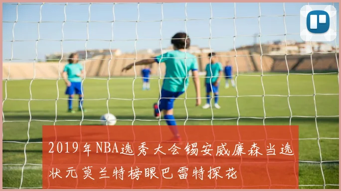 2019年NBA选秀大会锡安威廉森当选状元莫兰特榜眼巴雷特探花